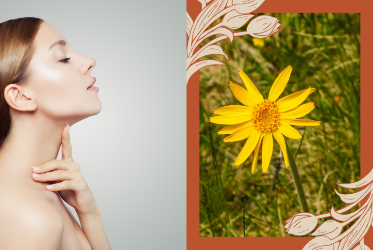 Benefits Of Arnica For The Skin